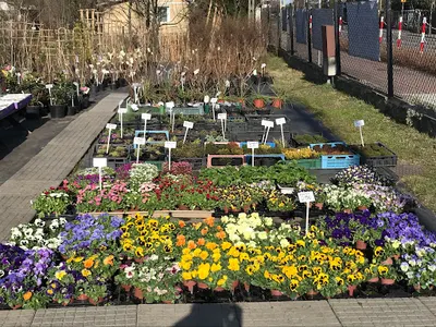 Centrum Ogrodnicze Gardenik Legionowo